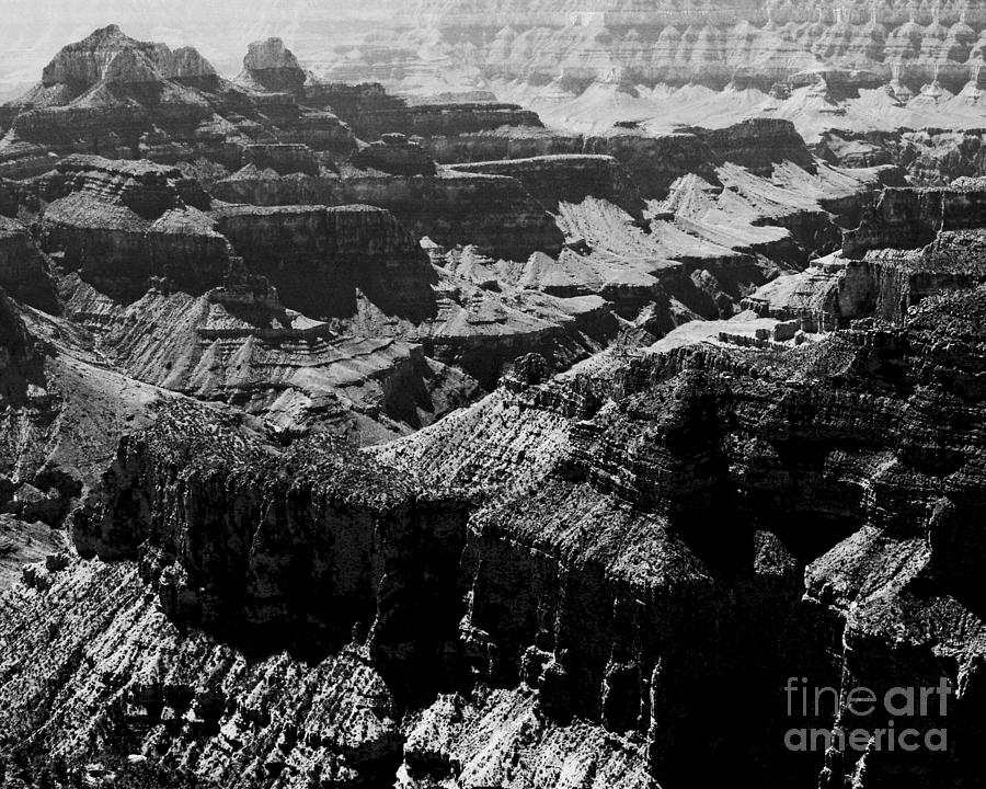 Grand Canyon North Rim BW Digital Art by Tim Richards