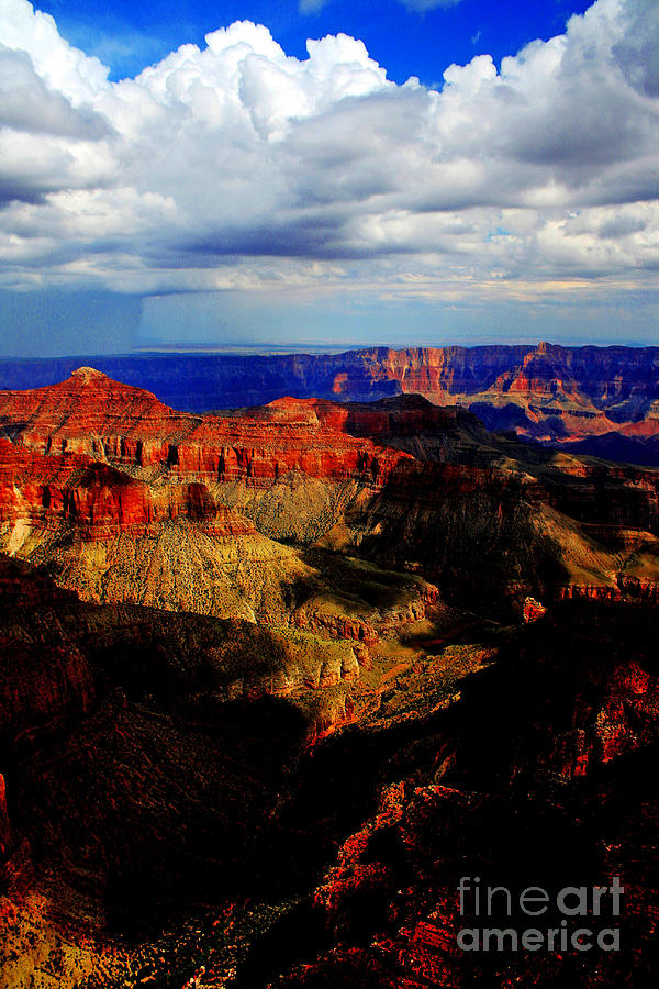 Grand Canyon National Park Photograph - Grand Canyon North Rim by John Langdon