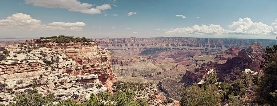 Grand Canyon North Rim Photograph by Magnez2
