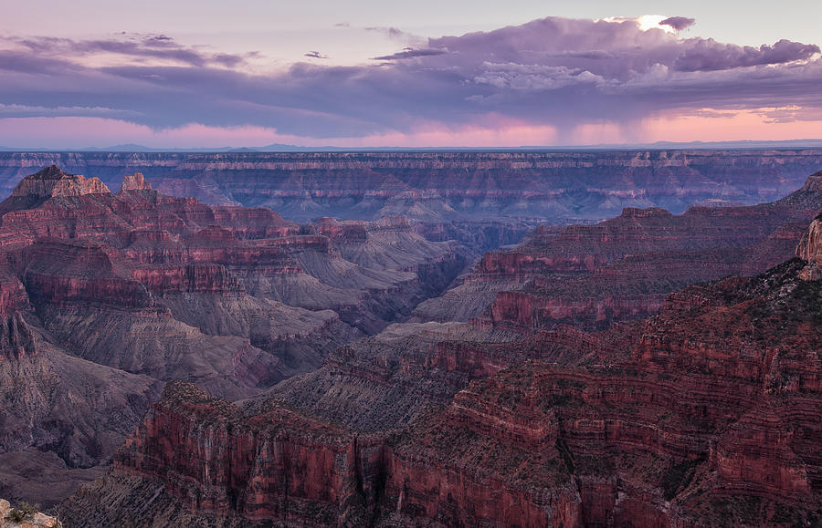 Grand Canyon North Rim Photograph by Tassanee Angiolillo