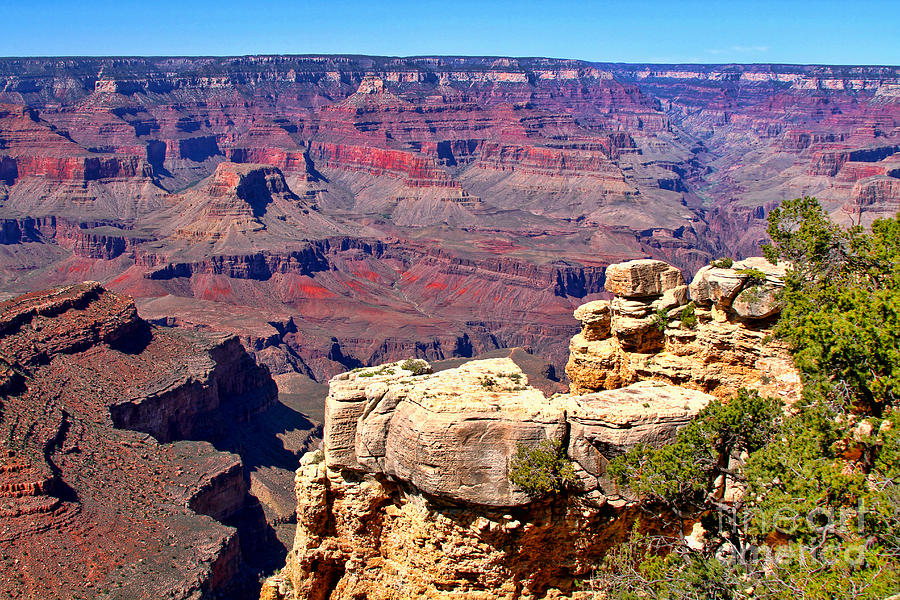 Grand Canyon National Park Photograph - Grand Canyon of Red by Diana Sainz by Diana Raquel Sainz