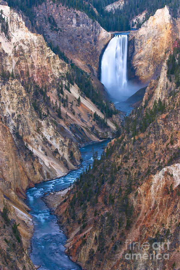 Yellowstone National Park Photograph - Grand Canyon of the Yellowstone by Don Hall