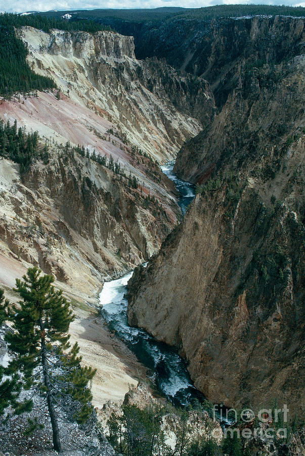 Grand Canyon Of The Yellowstone Photograph by Gregory G. Dimijian, M.D.