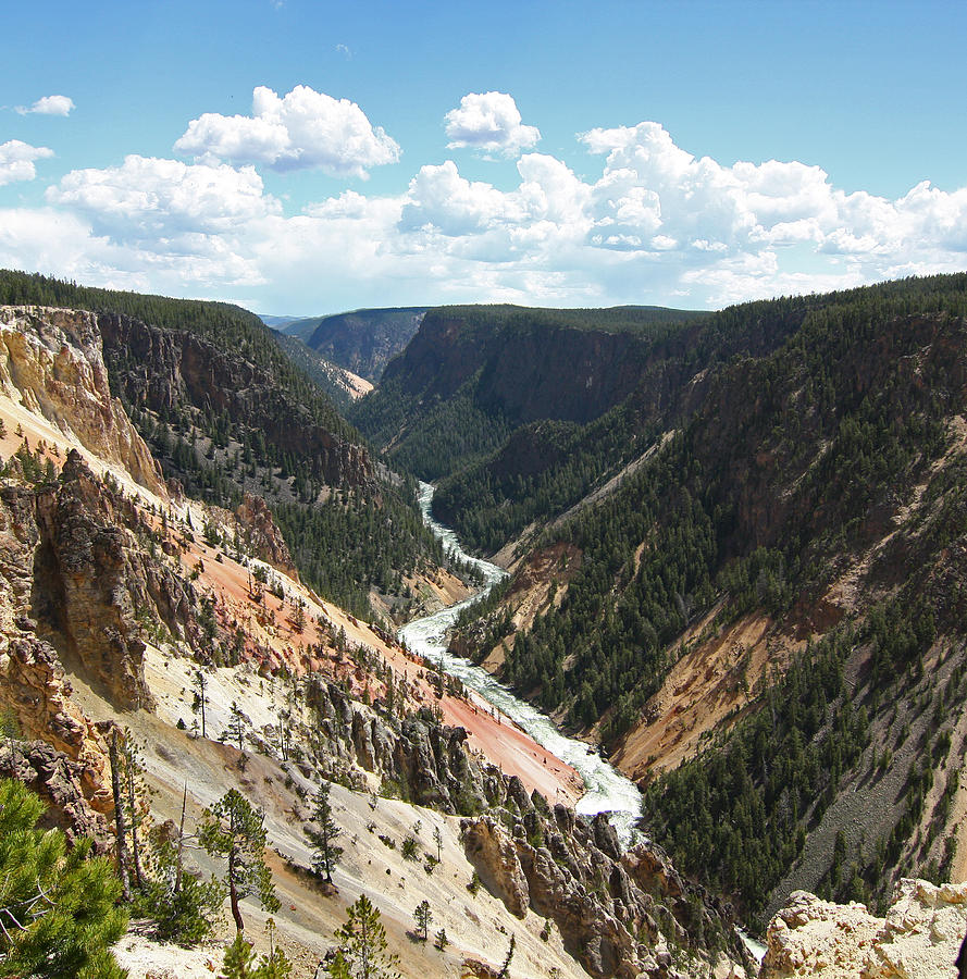 Grand Canyon of the Yellowstone Photograph by Jean Clark