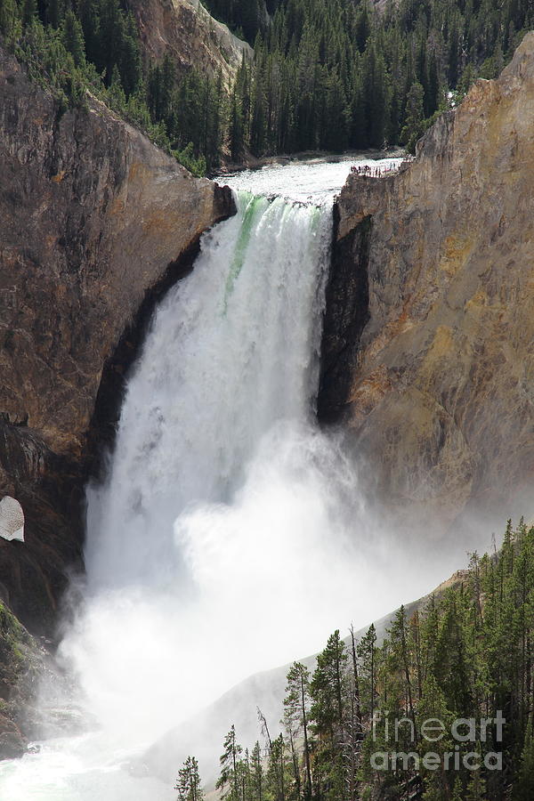 Grand Canyon Of The Yellowstone Lower Falls Photograph by Christiane Schulze Art And Photography