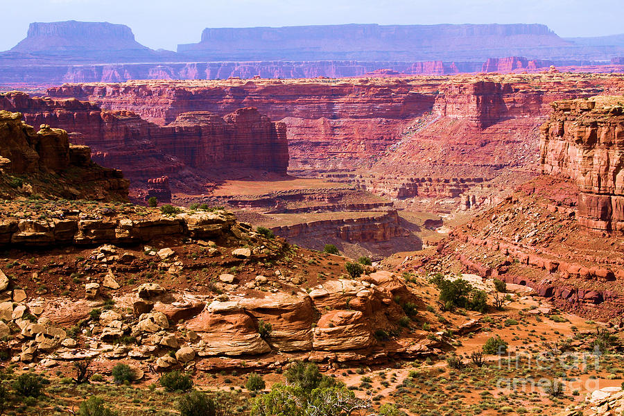 Canyonlands National Park Photograph - Grand Canyon Of Utah by Adam Jewell