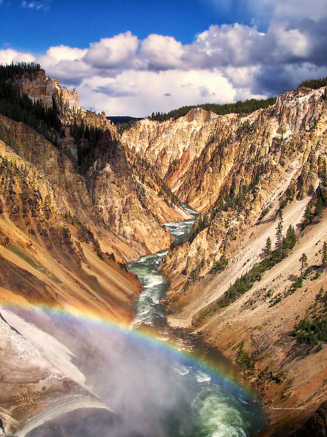 Yellowstone National Park Photograph - Grand Canyon of Yellowstone 1 by Thomas Woolworth