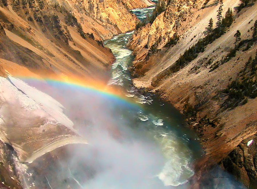 Grand Canyon of Yellowstone 2 Photograph by Thomas Woolworth