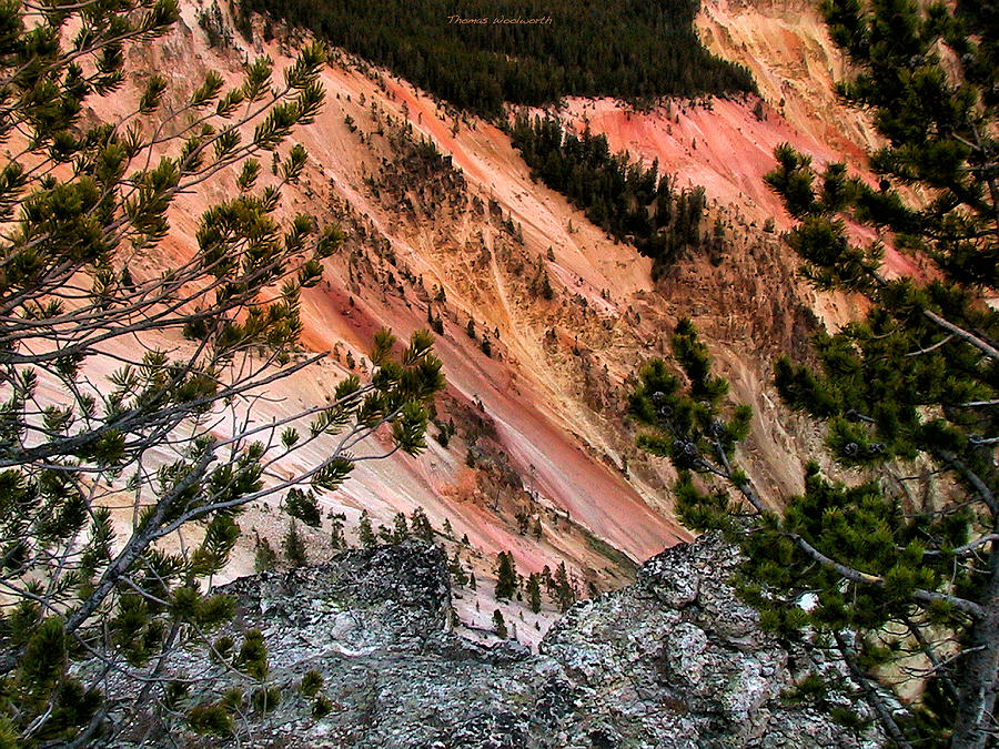 Yellowstone National Park Photograph - Grand Canyon Of Yellowstone 6 by Thomas Woolworth