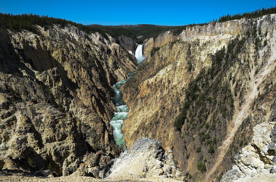 Grand Canyon of Yellowstone Photograph by Gales Of November