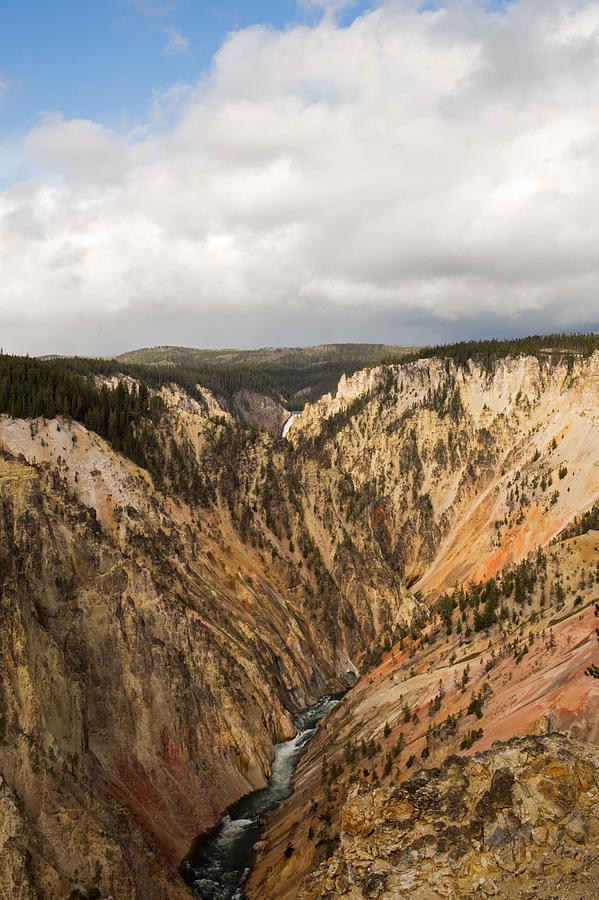 Grand Canyon of Yellowstone Photograph by Natural Focal Point Photography
