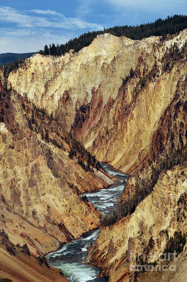 Grand Canyon of Yellowstone Photograph by Rachel Barrett