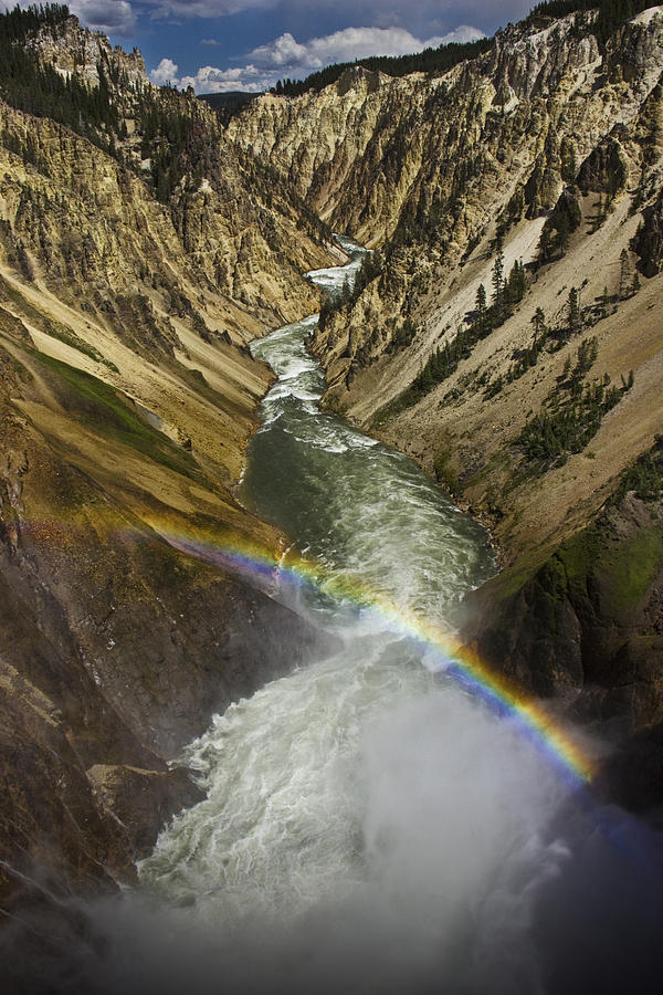 Grand Canyon of Yellowstone with a Rainbow Photograph by Randall Nyhof