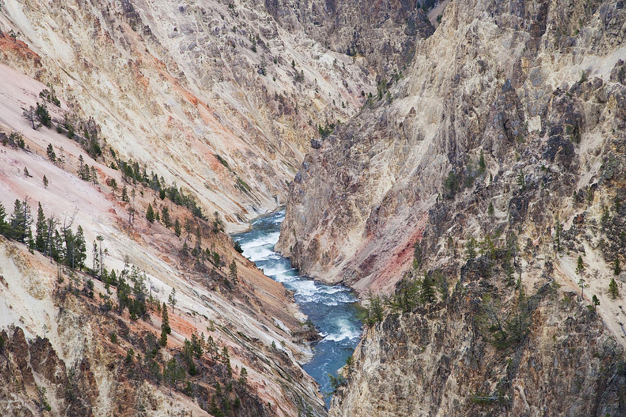 Grand Canyon Of Yellowstone Wyoming Photograph by Bill Coster