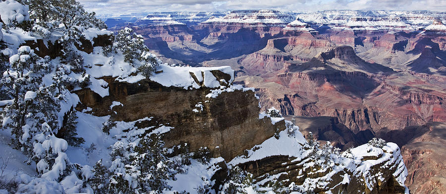 Grand Canyon Overlook Photograph by Paul Riedinger