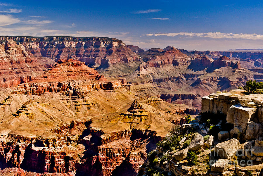 Thor Painting - Grand Canyon Painting by Bob and Nadine Johnston