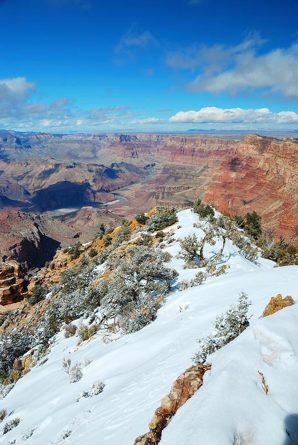 Grand Canyon panorama view in winter with snow Photograph by Songquan Deng