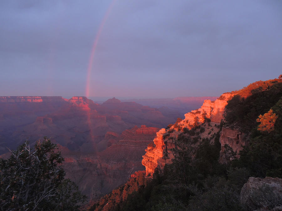 Grand Canyon Rainbow Photograph by Jayne Wilson