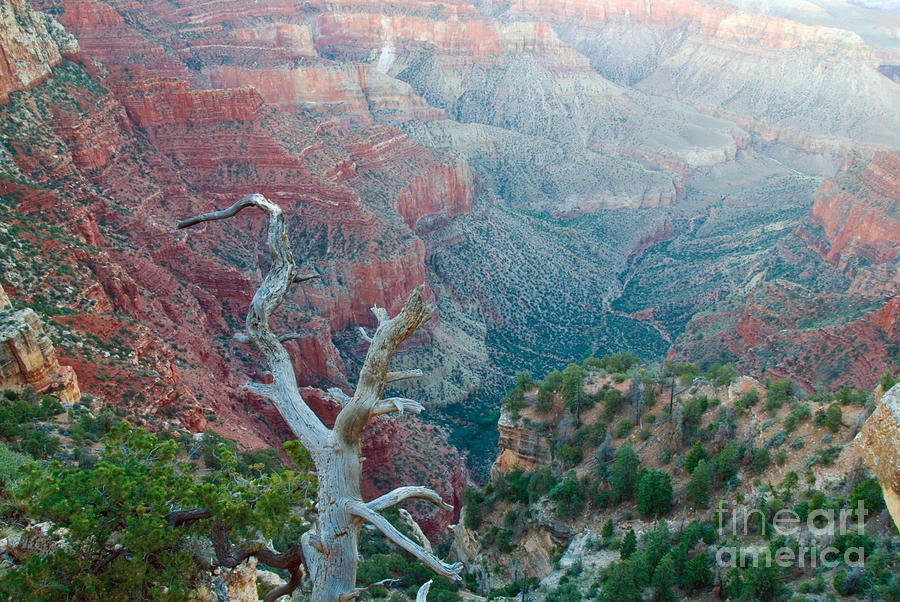 Grand Canyon Photograph by Richard and Ellen Thane