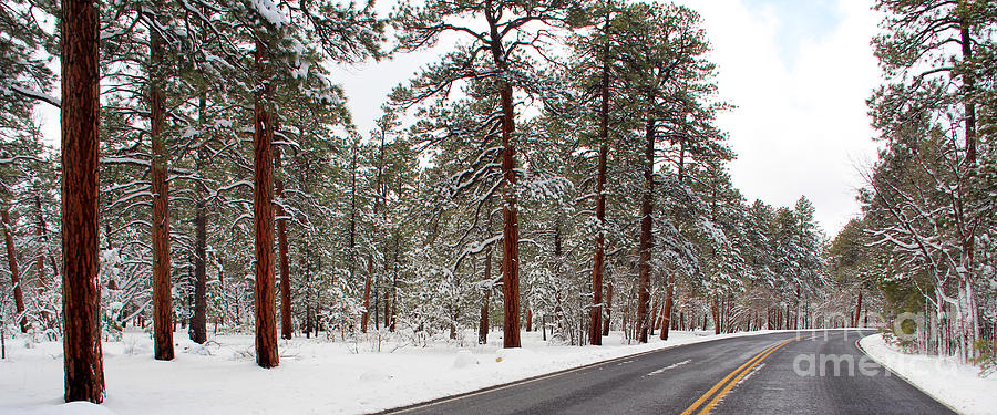 Grand Canyon Road in Snow 3839 Photograph by Jack Schultz - Fine Art ...