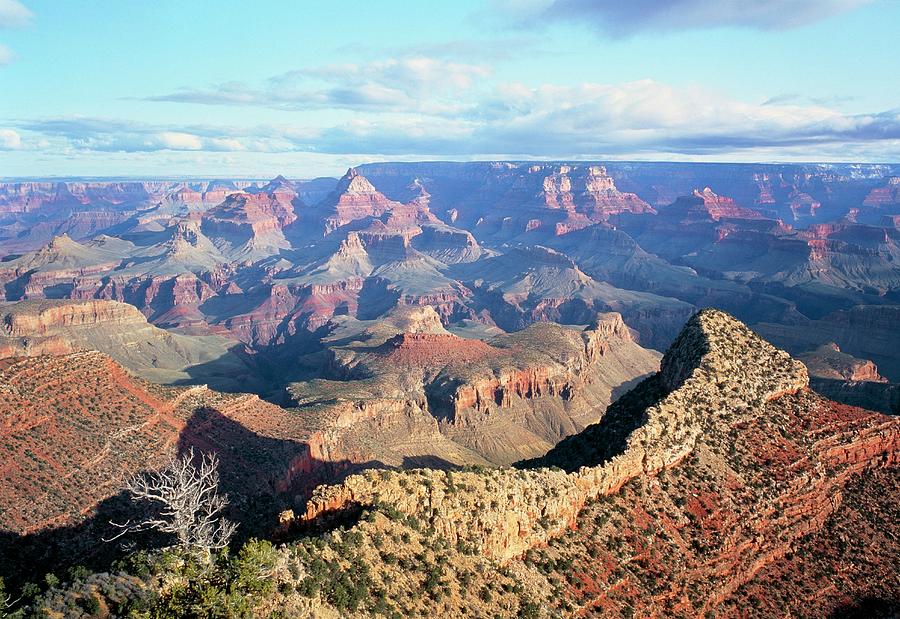 Grand Canyon Photograph by Simon Fraser/science Photo Library