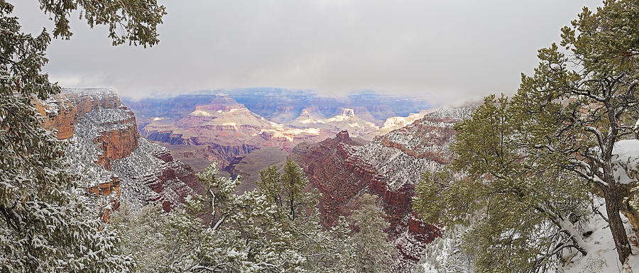 Grand Canyon National Park Photograph - Grand Canyon Snowfall - Panoramic by Art Morgan