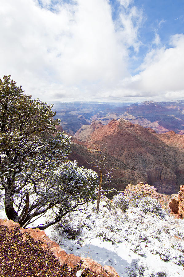 Grand Canyon Snowy View Photograph by Natural Focal Point Photography