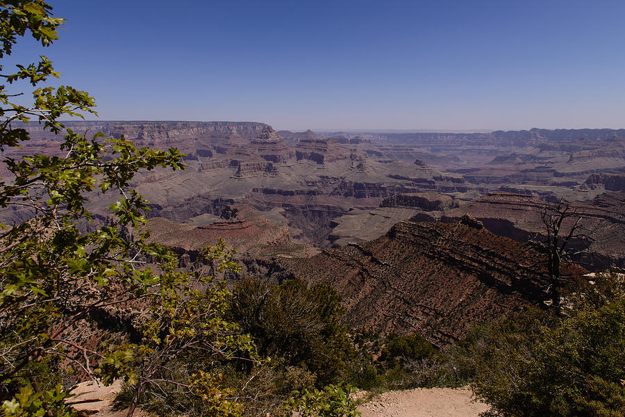 Grand Canyon South  east Photograph by John Johnson