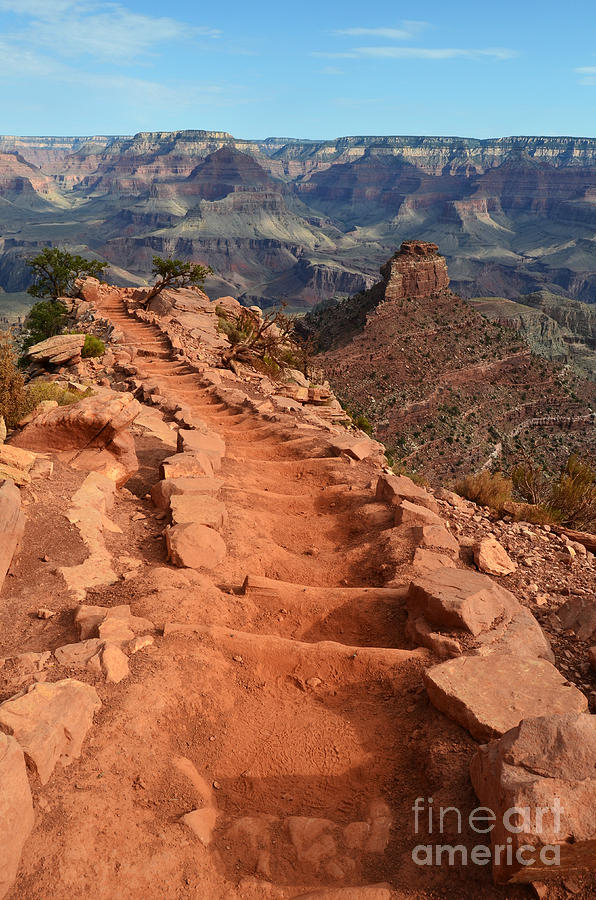 Grand Canyon South Kaibab Trail and Oneill Butte Vertical Photograph by Shawn OBrien