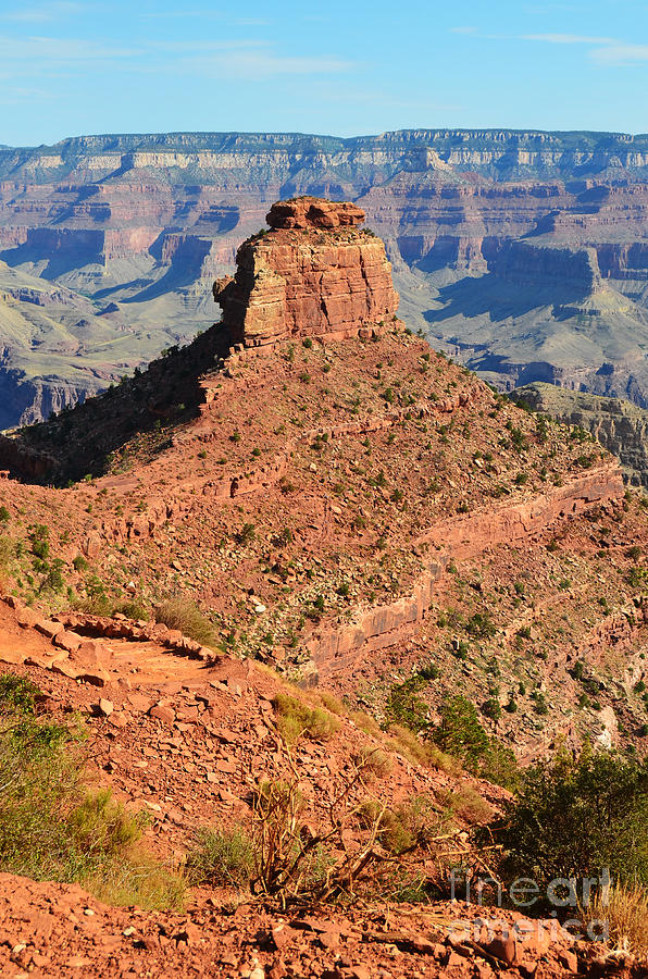 Grand Canyon South Kaibab Trail Overlooking Cedar Ridge and Oneill Butte Vertical Photograph by Shawn OBrien