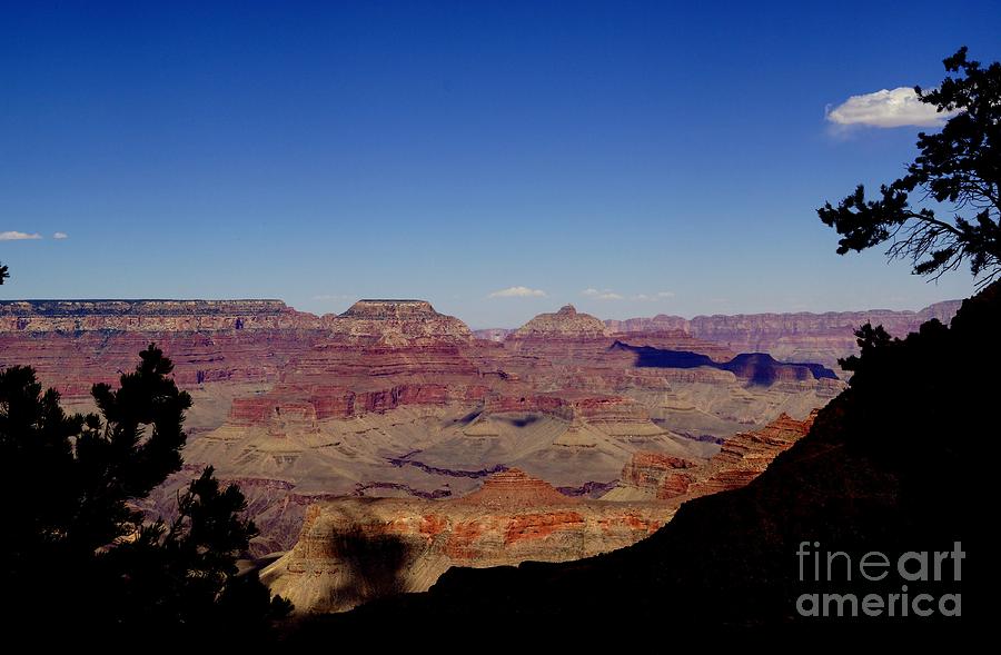 Grand Canyon National Park Photograph - Grand Canyon South Rim 12 by Trish H