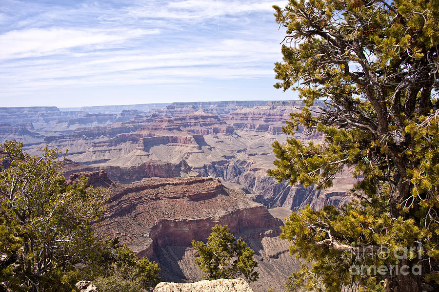 Grand Canyon South Rim Photograph by Lee Craig