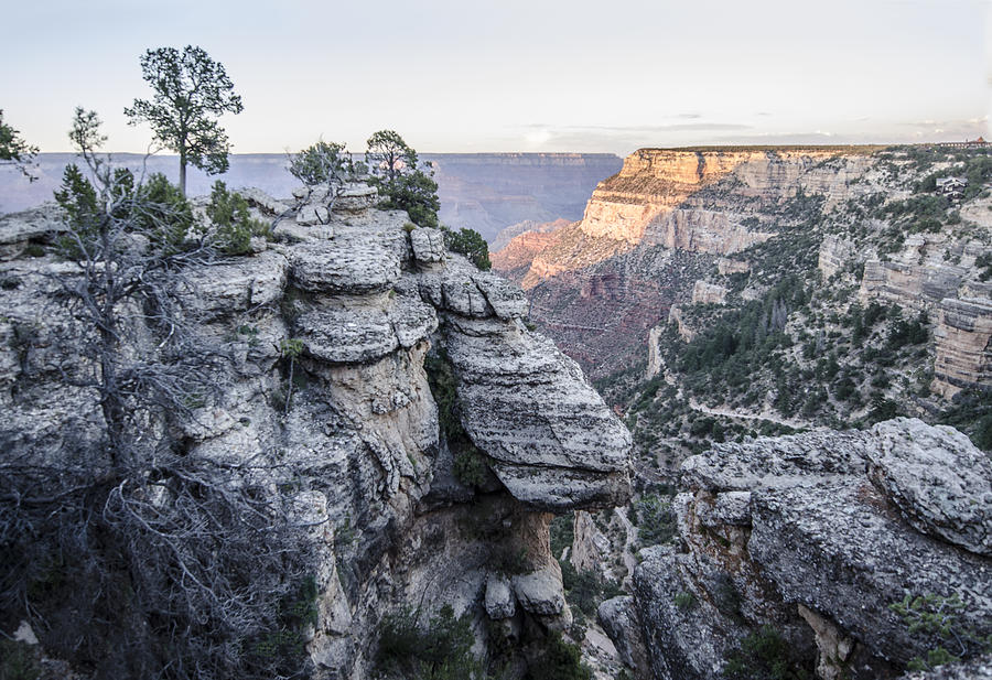 Grand Canyon South Rim Photograph by William Bitman