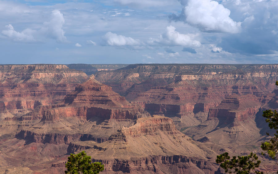 Grand Canyon Splendor Photograph by John M Bailey - Fine Art America