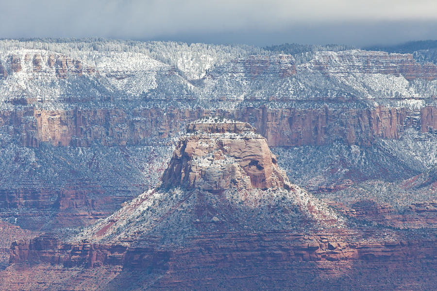Grand Canyon Spring View Photograph by Natural Focal Point Photography