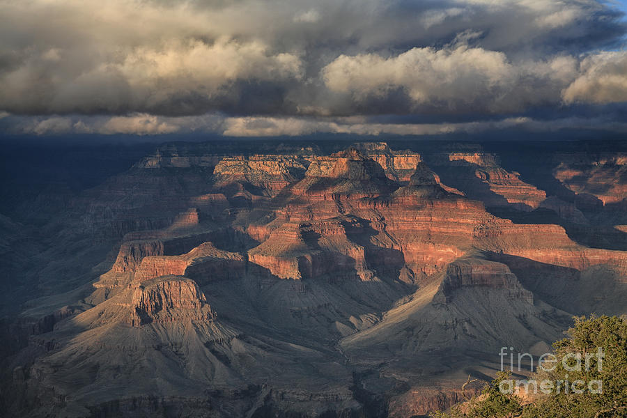 Grand Canyon View Photograph by Timothy Johnson