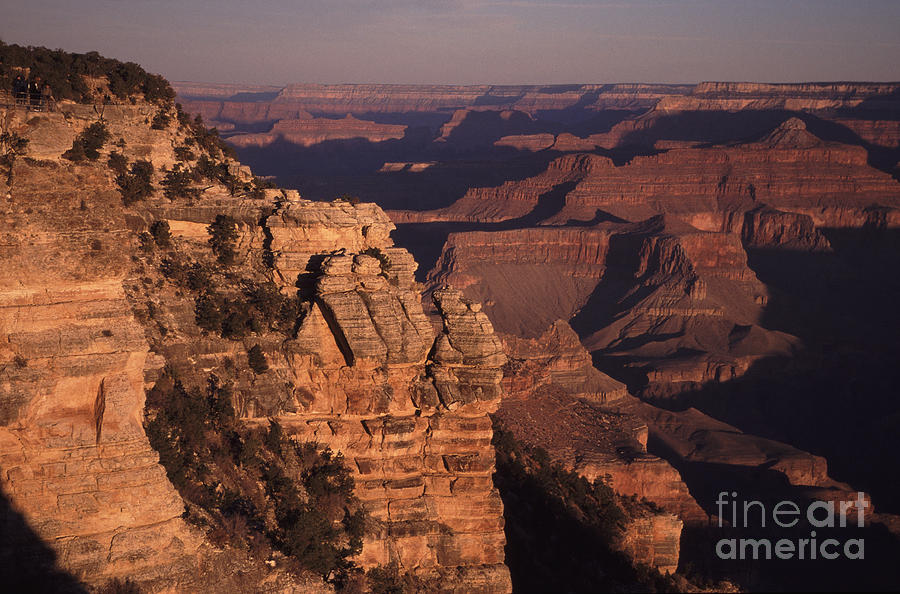 Grand Canyon sunrise Photograph by Liz Leyden