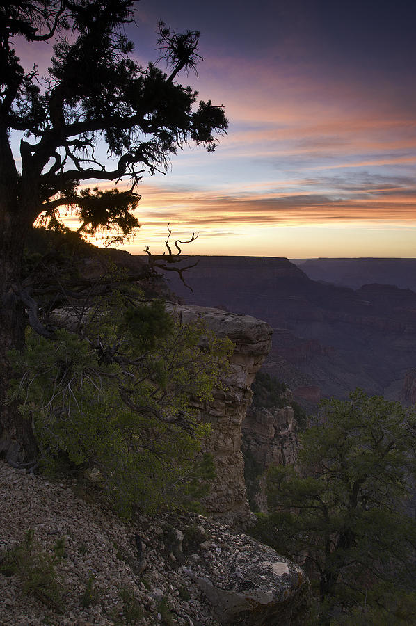 Grand Canyon Sunset 2 Photograph by Paul Riedinger