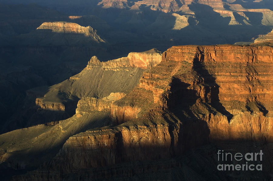 Grand Canyon Symphony Of Light And Shadow Photograph by Bob Christopher