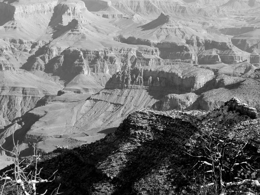 Grand Canyon Textures Photograph by Judy Wanamaker