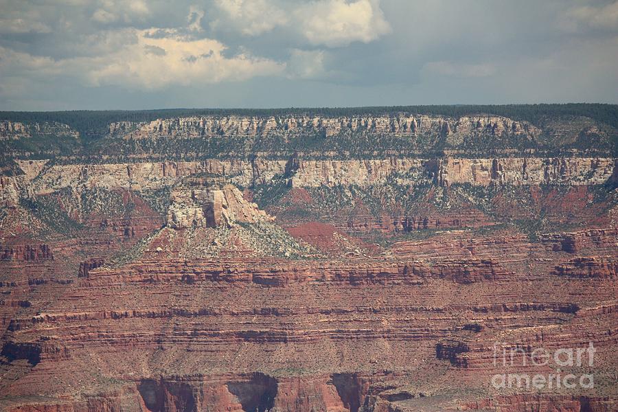 Grand Canyon Photograph by Veronica Batterson