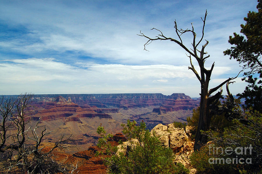 Grand Canyon View Photograph by Debra Thompson