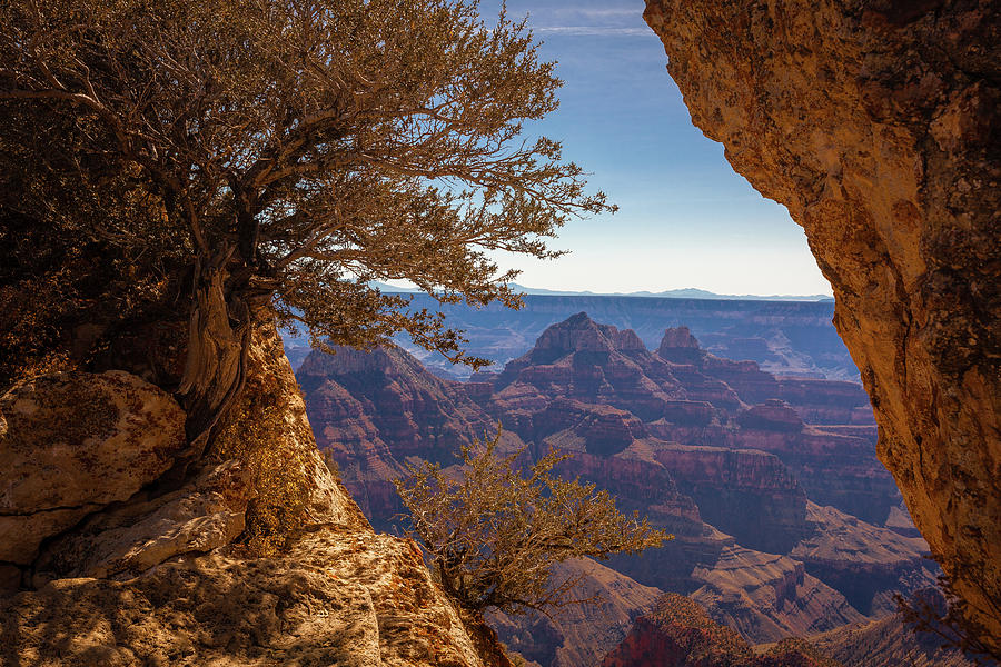 Grand Canyon View Photograph by Eric R. Hinson