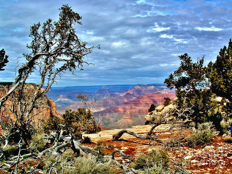 Grand Canyon View III Photograph by Marilyn Smith