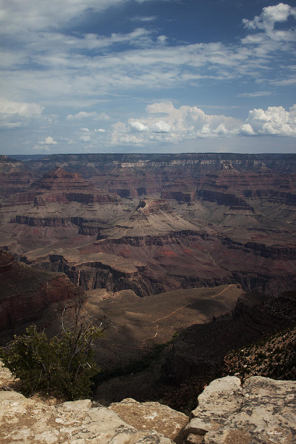 Grand Canyon View Photograph by Ivete Basso Photography