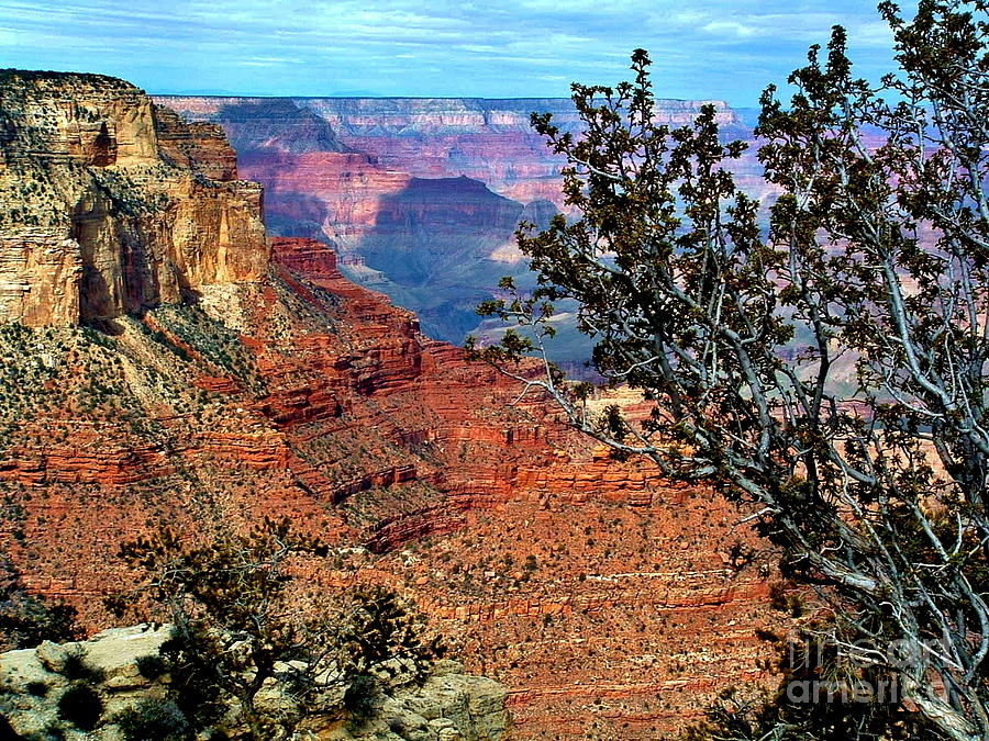 Grand Canyon View Photograph by Marilyn Smith