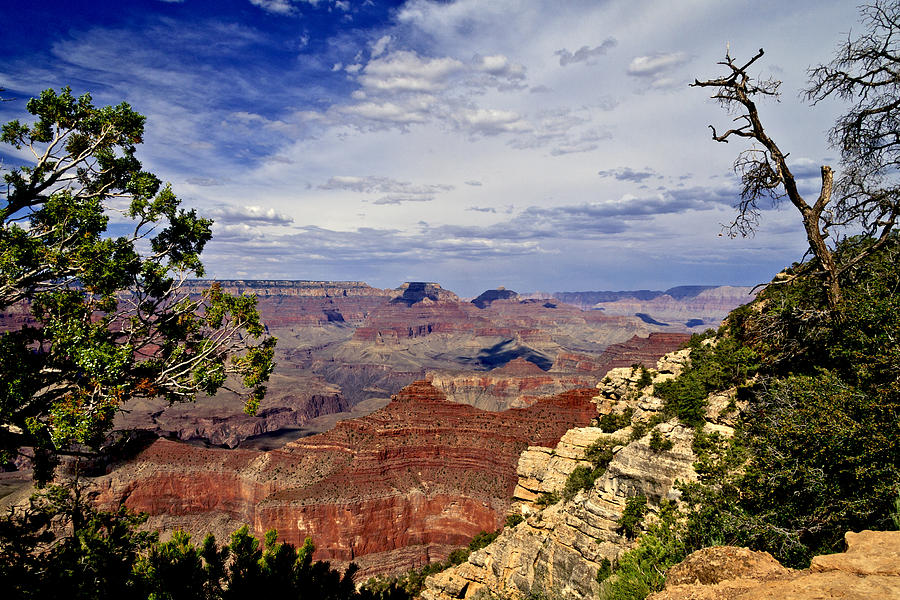 Grand Canyon National Park Photograph - Grand Canyon View by Her Arts Desire
