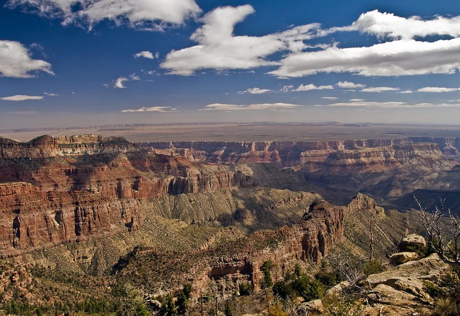 Grand Canyon National Park Photograph - Grand Canyon View by SEA Art