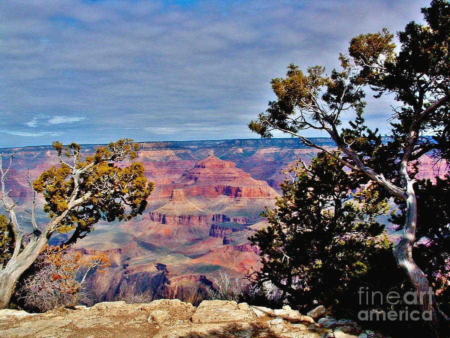 Grand Canyon Views Photograph by Marilyn Smith