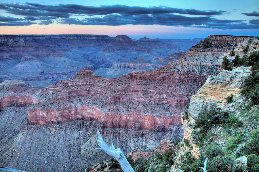 Grand Canyon Vista - 3 Photograph by Gordon Elwell